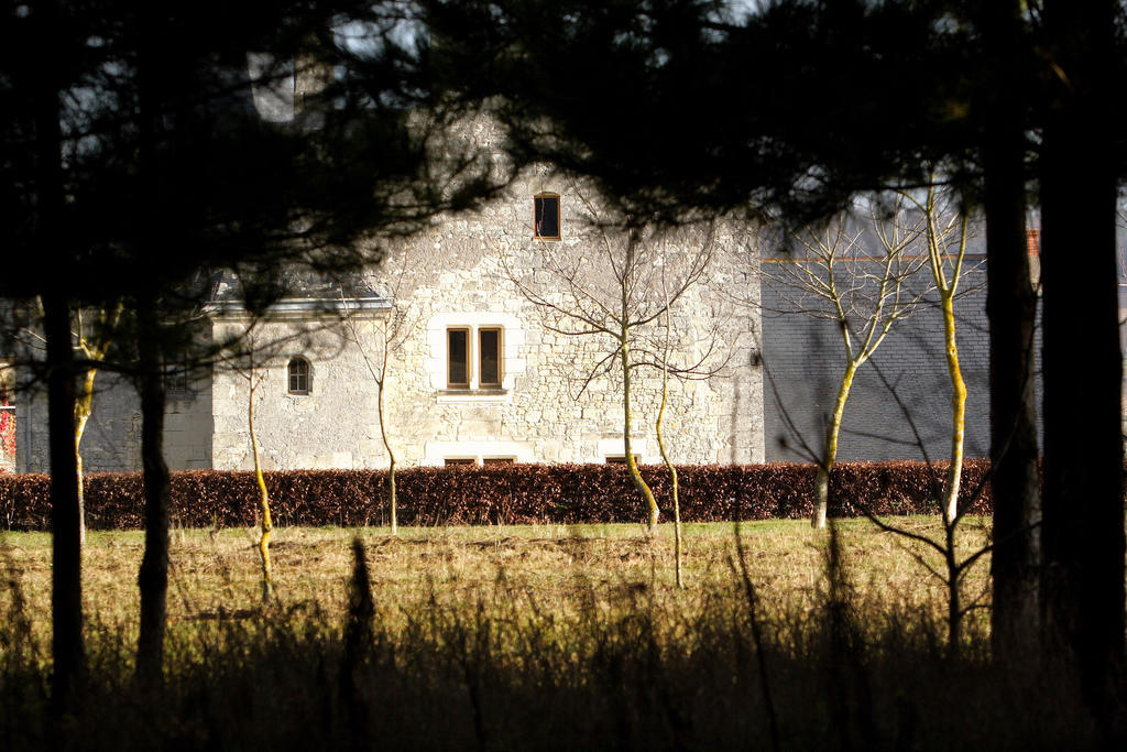 Louerre Manoir Du Bois Noblet Bed & Breakfast エクステリア 写真