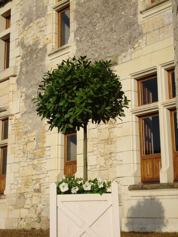 Louerre Manoir Du Bois Noblet Bed & Breakfast エクステリア 写真