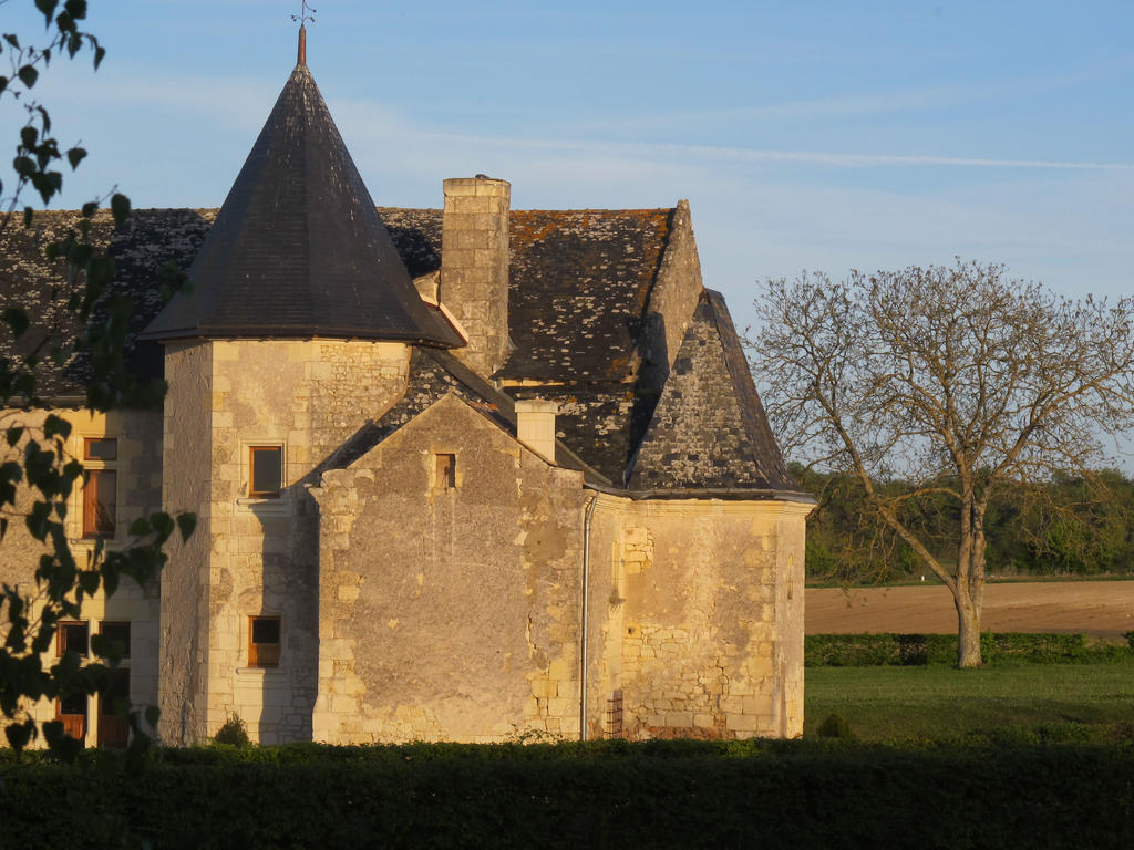 Louerre Manoir Du Bois Noblet Bed & Breakfast エクステリア 写真