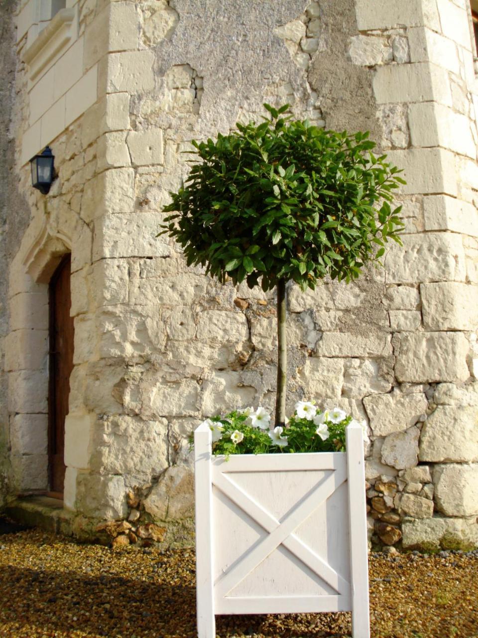 Louerre Manoir Du Bois Noblet Bed & Breakfast エクステリア 写真