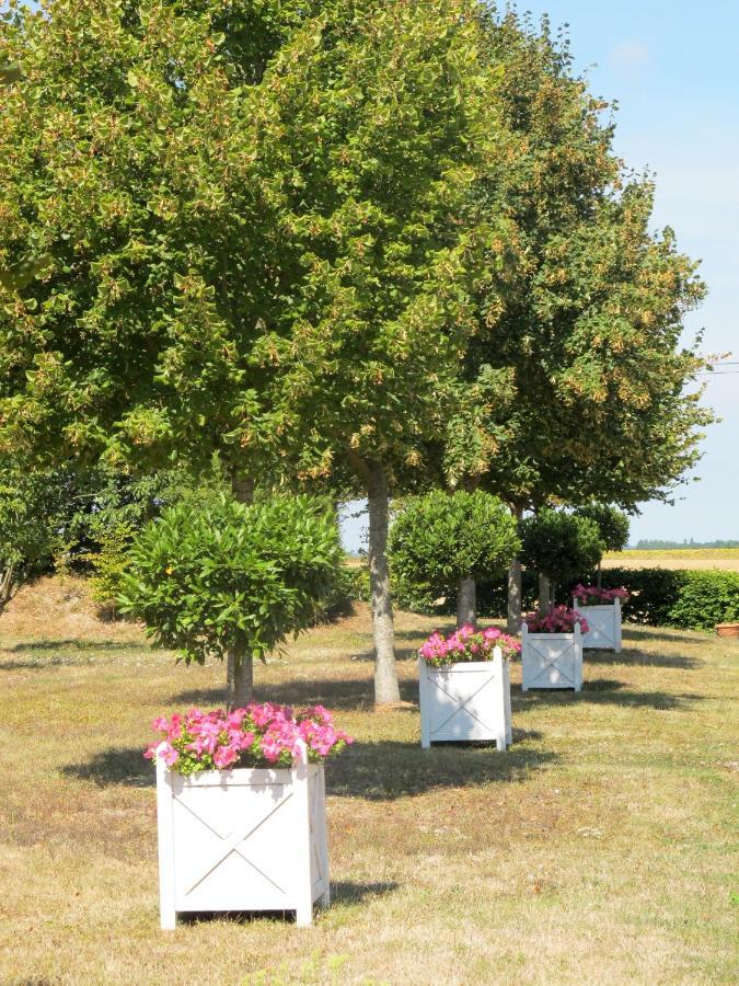 Louerre Manoir Du Bois Noblet Bed & Breakfast エクステリア 写真